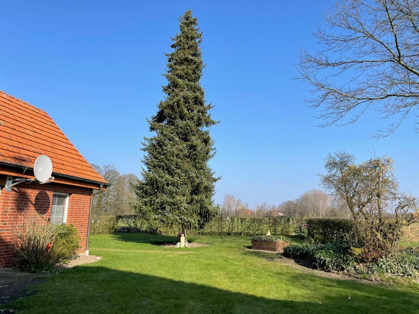 Ferienwohnung Kiebitzheide Beelen Bagian luar foto